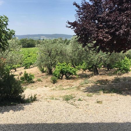 Mas Du Prescondu Villa Mirabel-aux-Baronnies Kültér fotó